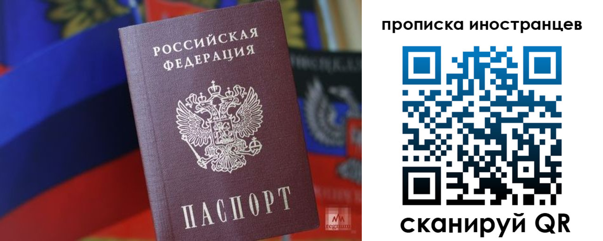 прописка законно в Ногинске
